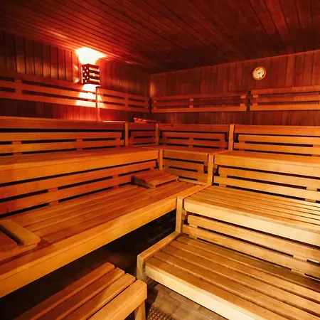 Neu Superior 581, Mit Sauna & Schwimmbad Apartment Braunlage