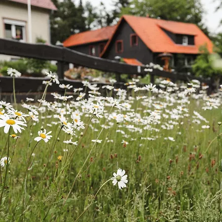 Superior 581, Mit Sauna & Schwimmbad شقة